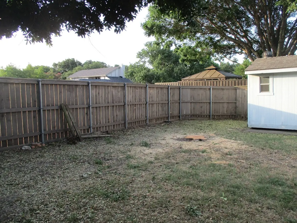Cleared yard after professional tree removal in Berkeley Heights
